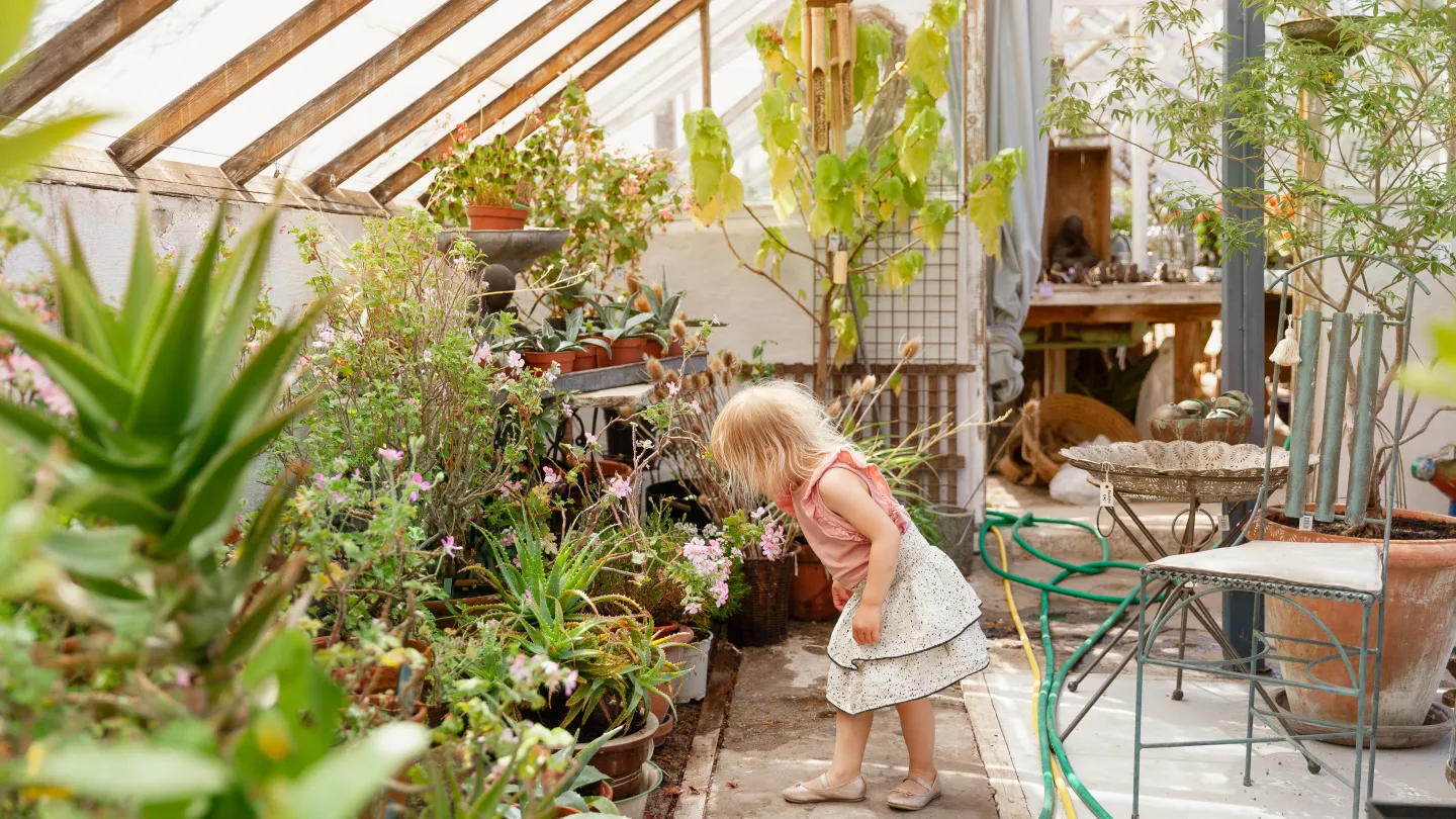 Barn som doftar på blommor i ett växthus
