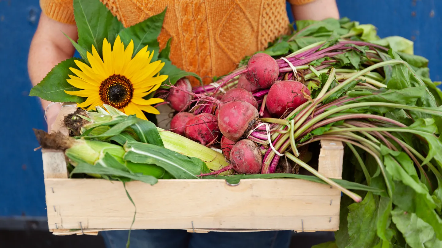 En person håller en låda med grönsaker och en solros.