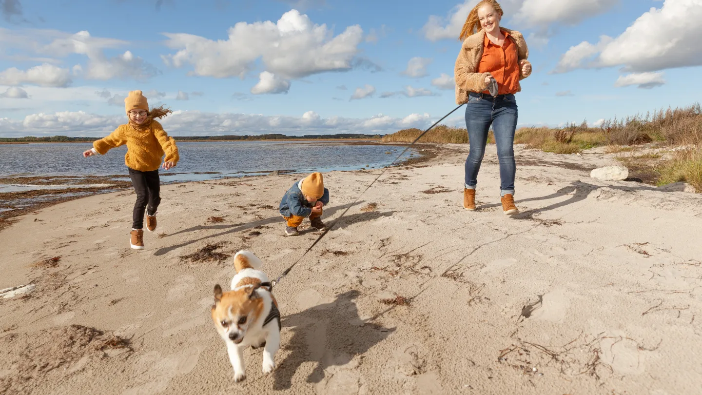 En kvinna, två barn och en hund springer på en strand.