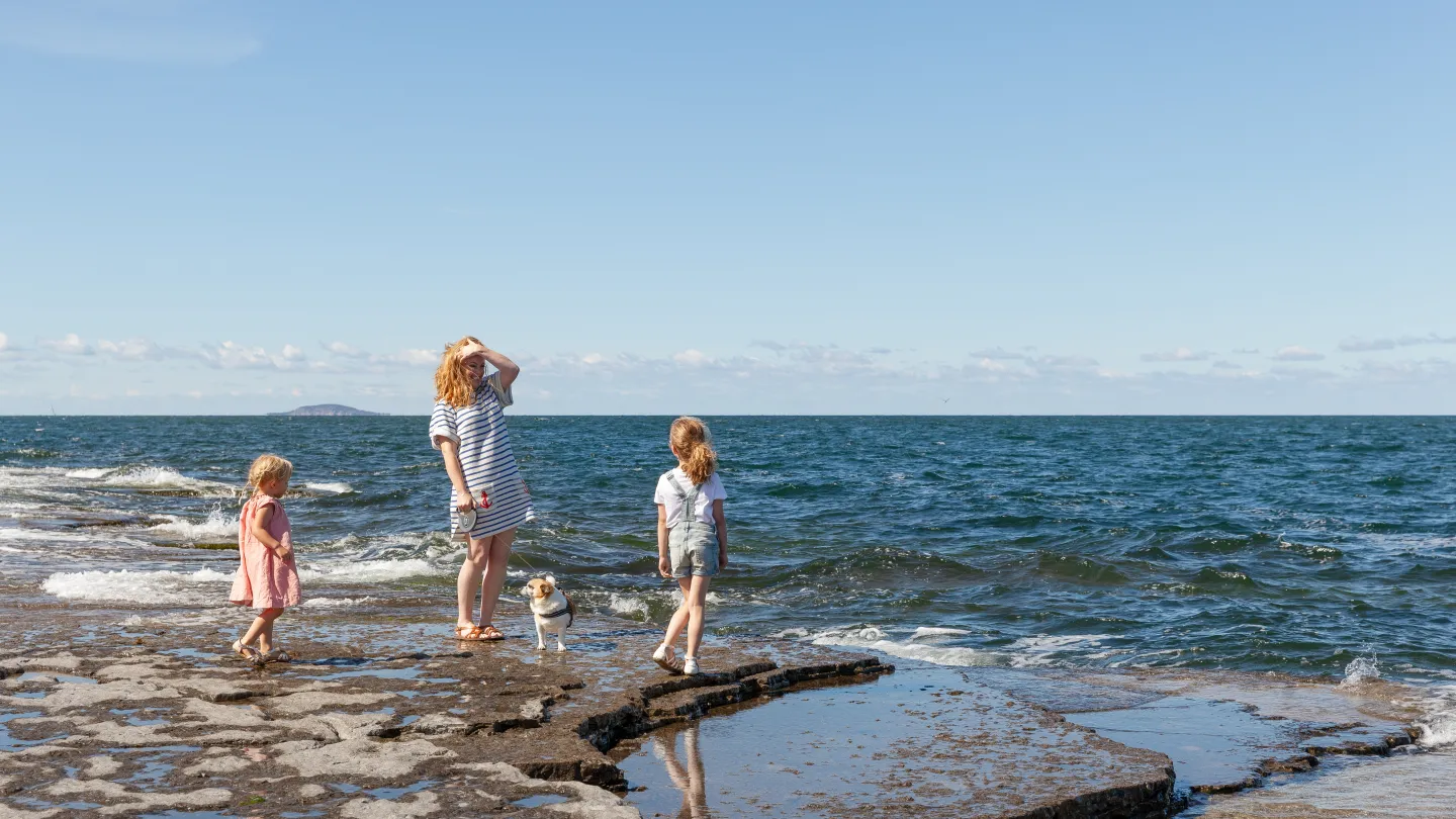 En familj med barn utforskar strandkanten vid havet.