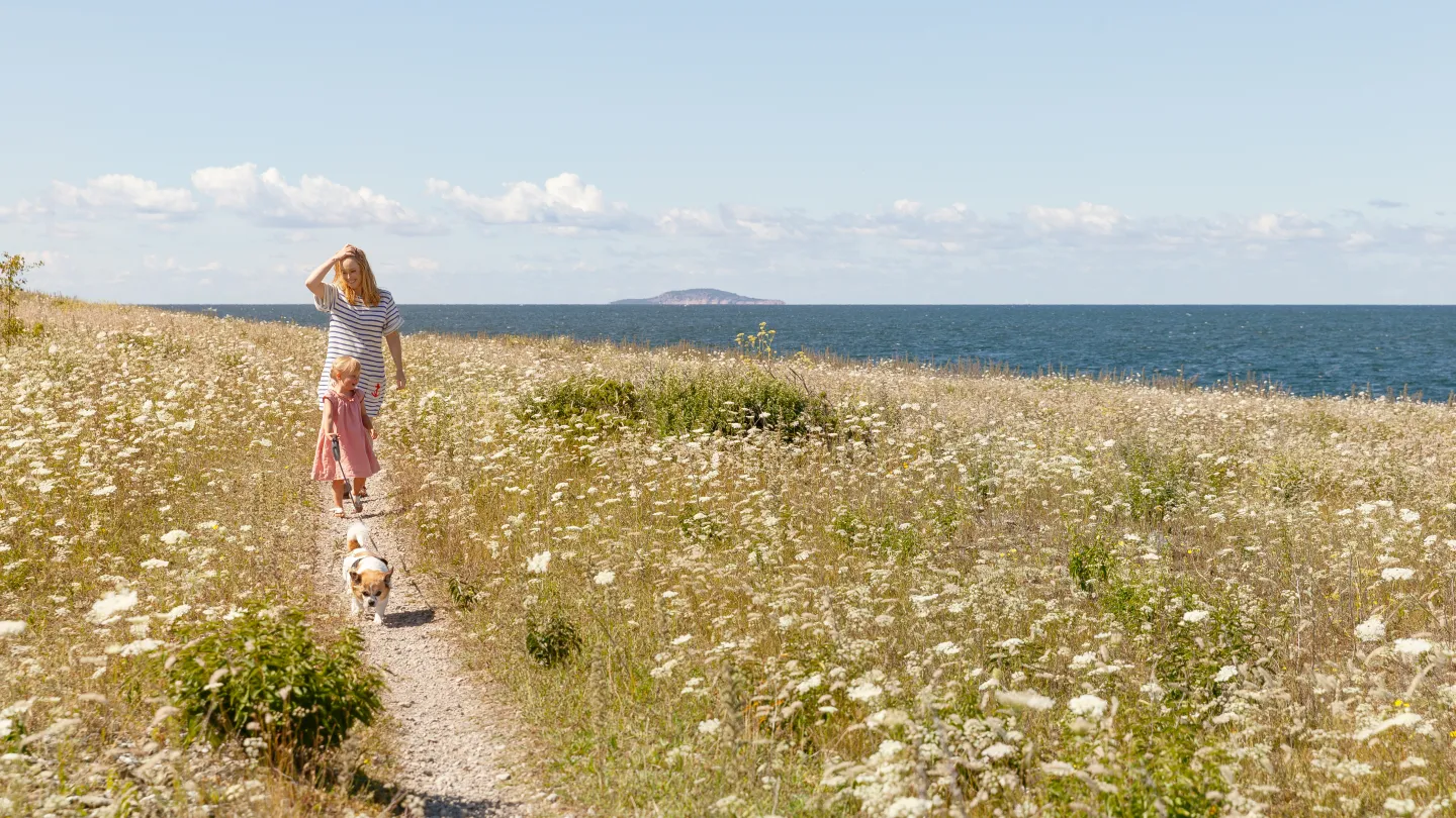 En vuxen och ett barn går längs en blommande stig vid havet med en hund.