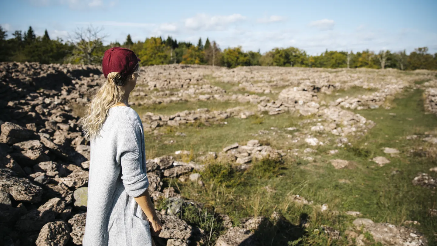 Château d'Ismantorp, Mittlandsskogen