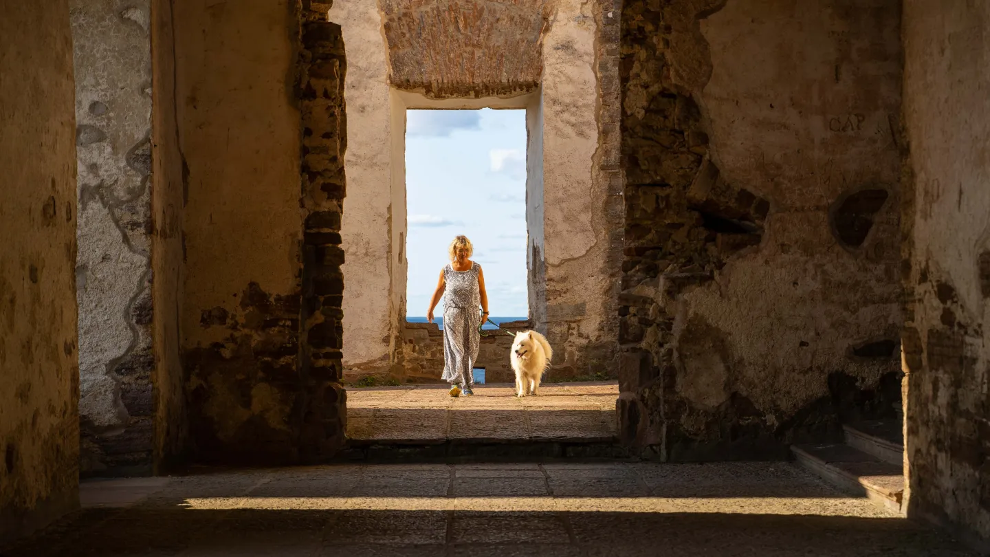 Hund på Borgholms Slott