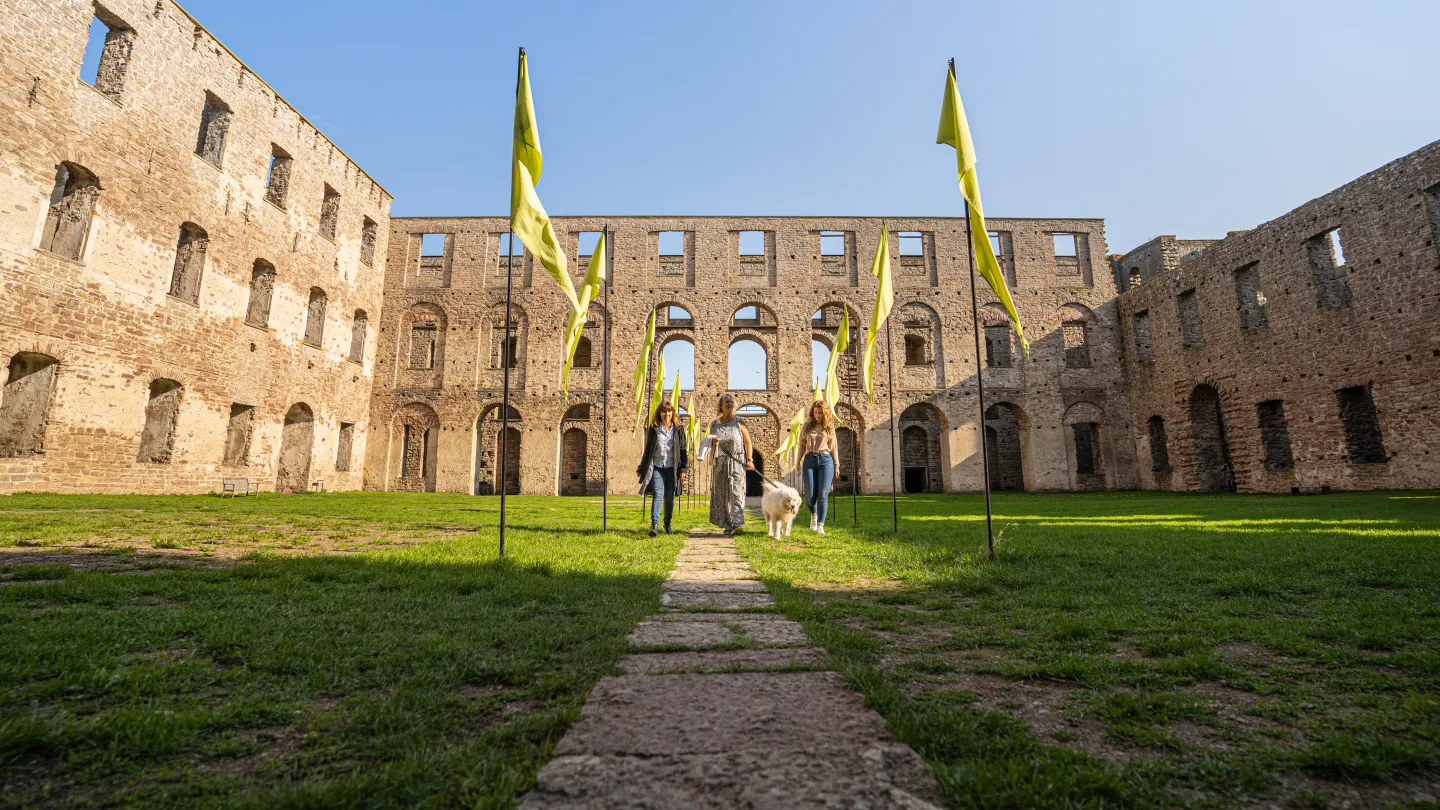 hund i Borgholms slott
