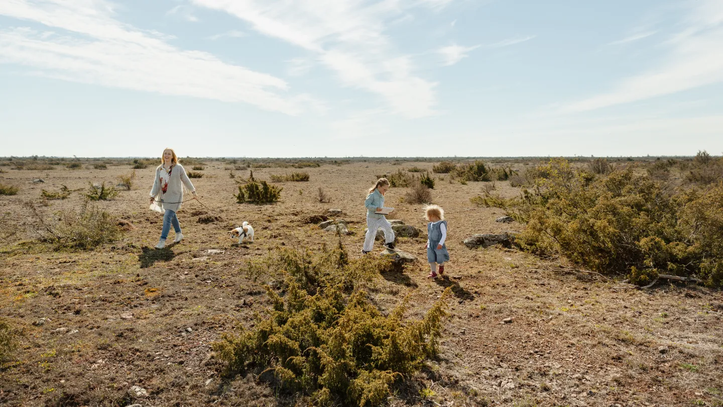 En kvinna, två barn och en hund går på Alvaret