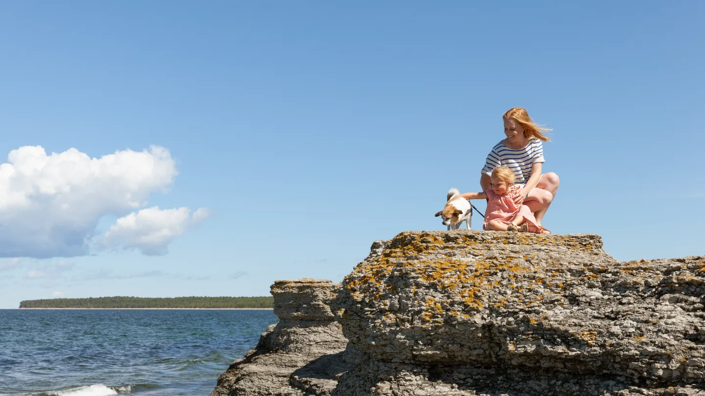 Barn, hund och kvinna som sitter på en raukar