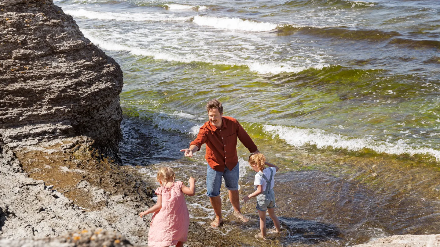 En vuxen och två barn leker vid strandkanten mellan raukarna