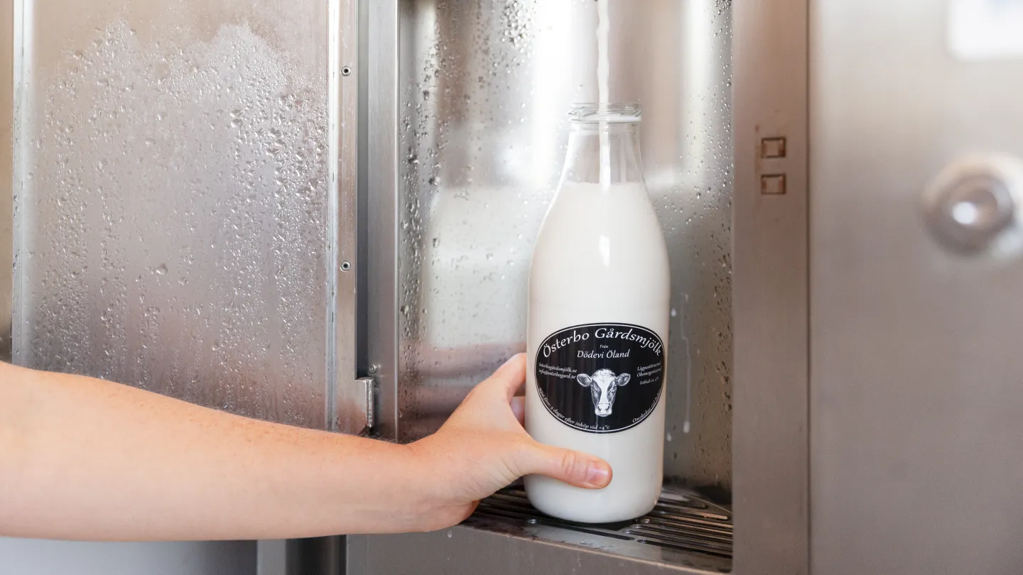 En glasflaska som fylls med färsk mjölk.