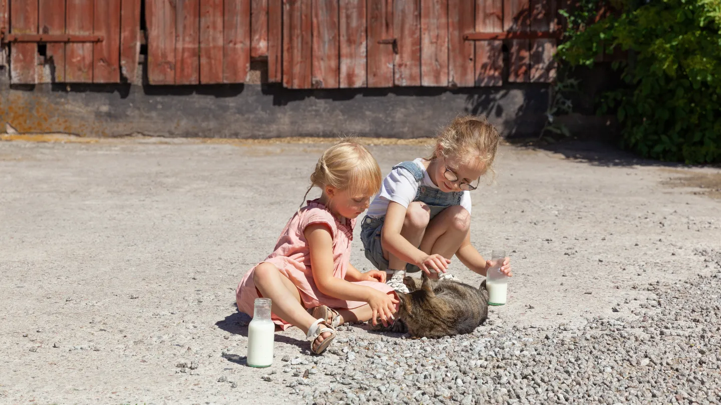 Två barn som myser med en katt på en gårdsplan.