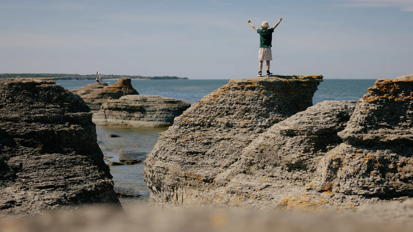 Byrums raukar - Öland