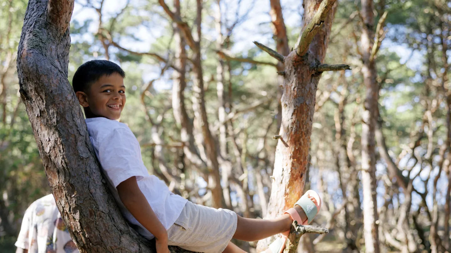 Northern cape - Trollskogen